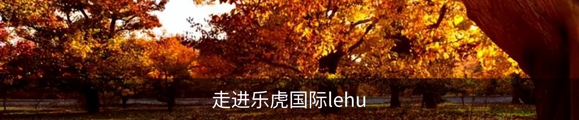 走进乐虎国际lehu